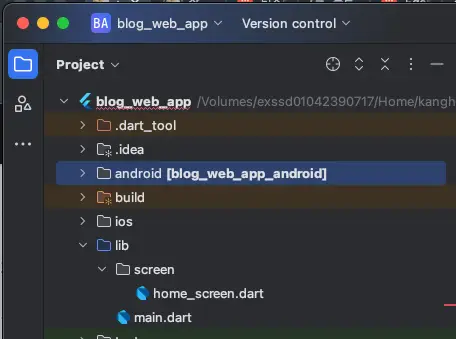 flutter webapp file tree