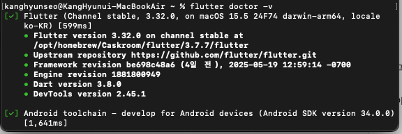 "flutter doctor -v" 명령의 결과