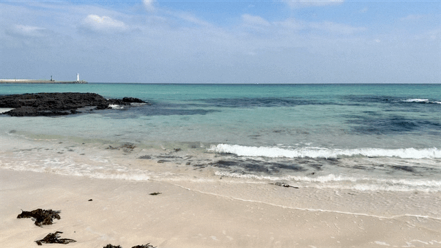 제주도-세화해변-루프2